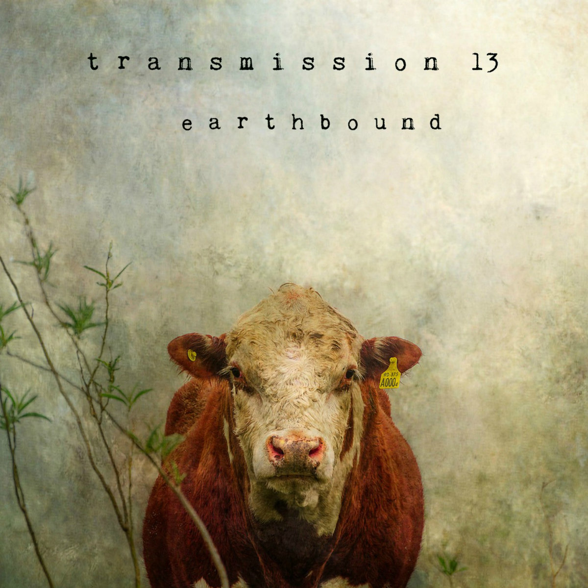 Earthbound cover