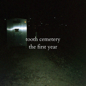 the first year cover
