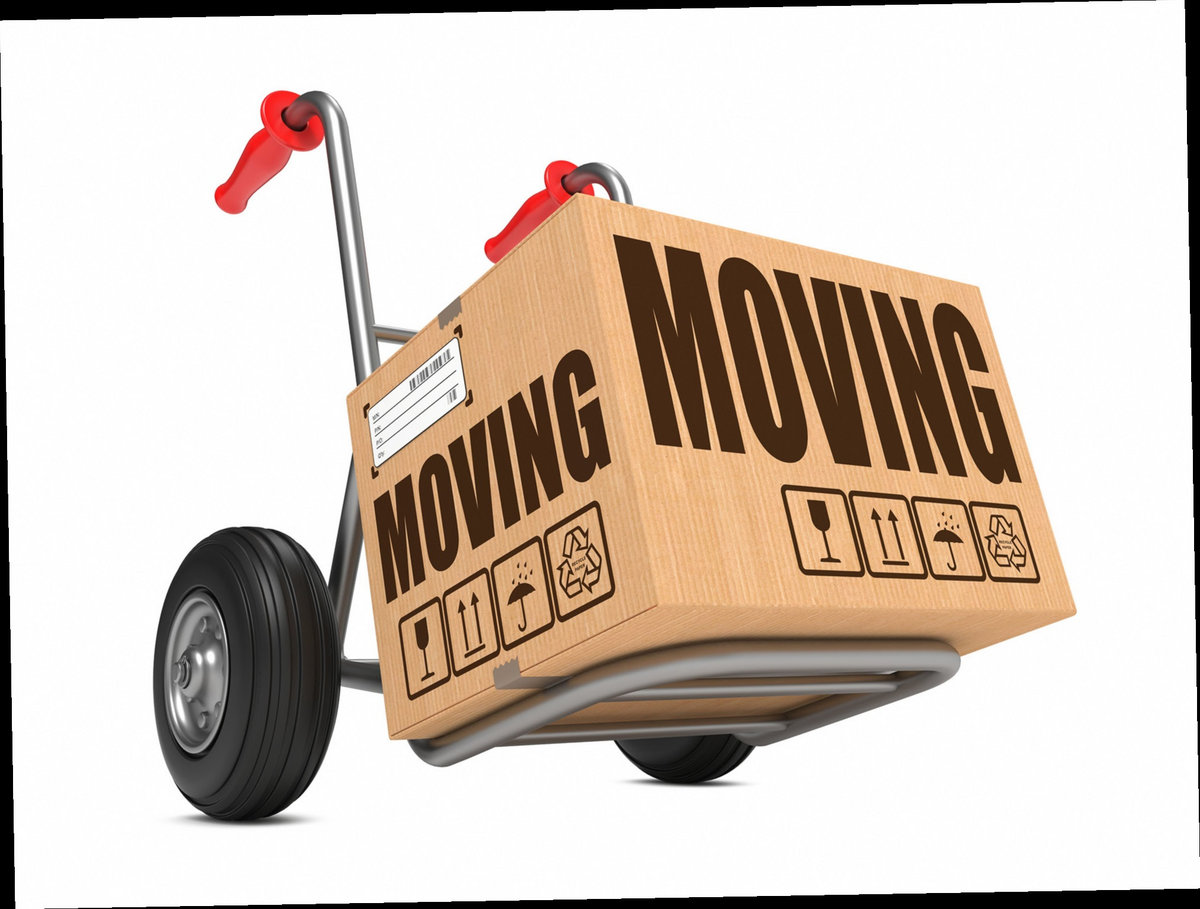 first mover first mover