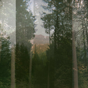 Sanctuary cover