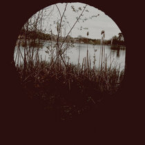 C the C cover art
