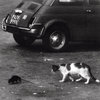 wuntwo.bandcamp.com