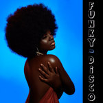 Funky Disco & Funky House - Vol 1 - Remix Album -"Walter Verdi ReworkS"