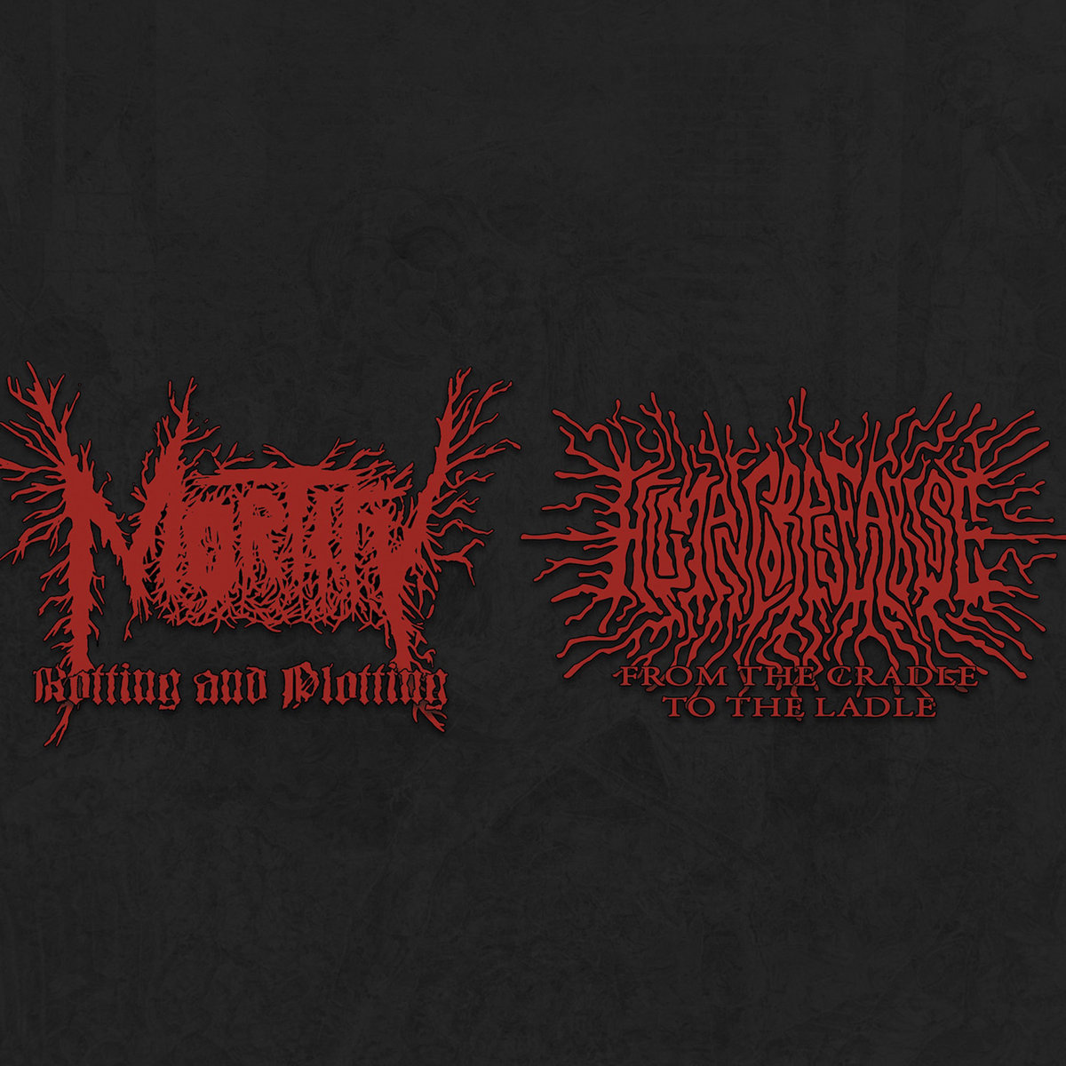 Split | MORTIFY / HUMAN CORPSE ABUSE | obliteration records