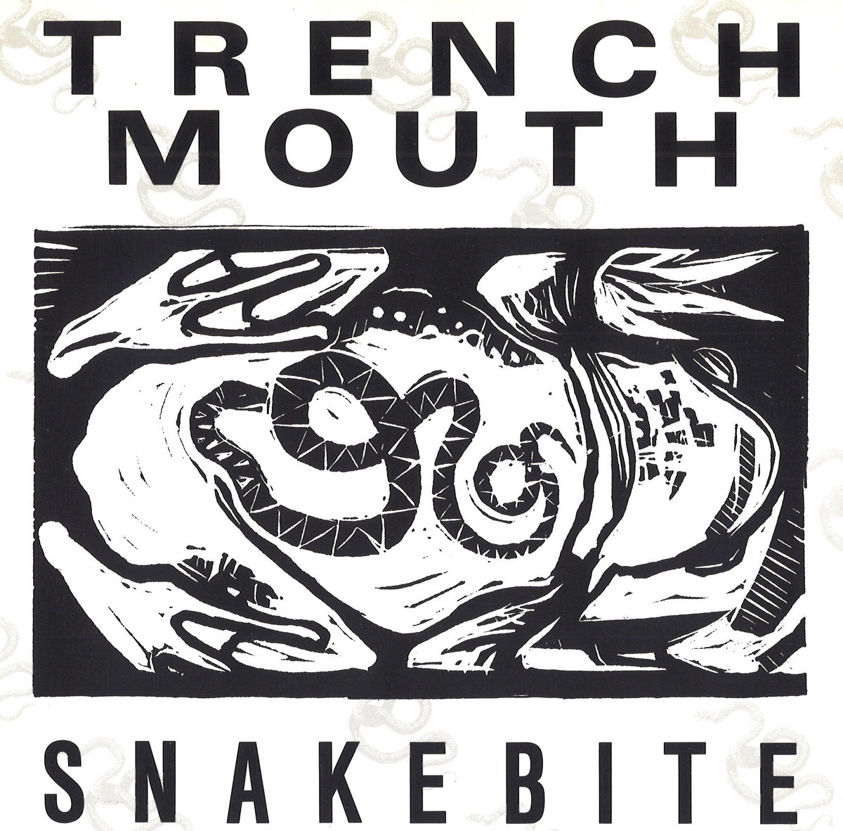Snakebite | Trenchmouth | DuPage County Hardcore