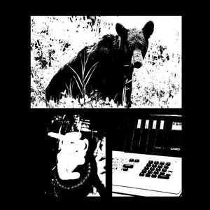 Balduvian Bears — Black Bear