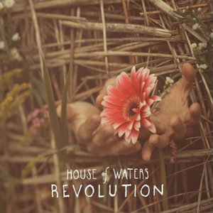Revolution cover