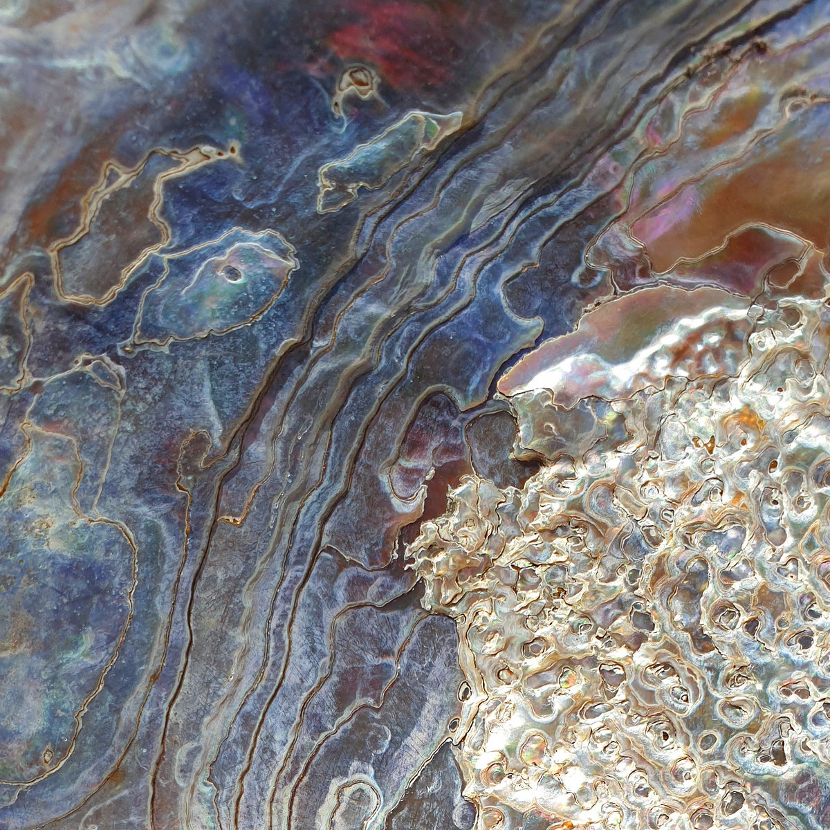 Ether. SEMANTICA 172