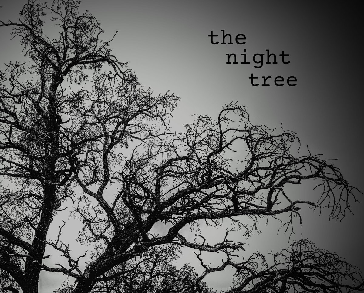 five seasons ep | the night tree