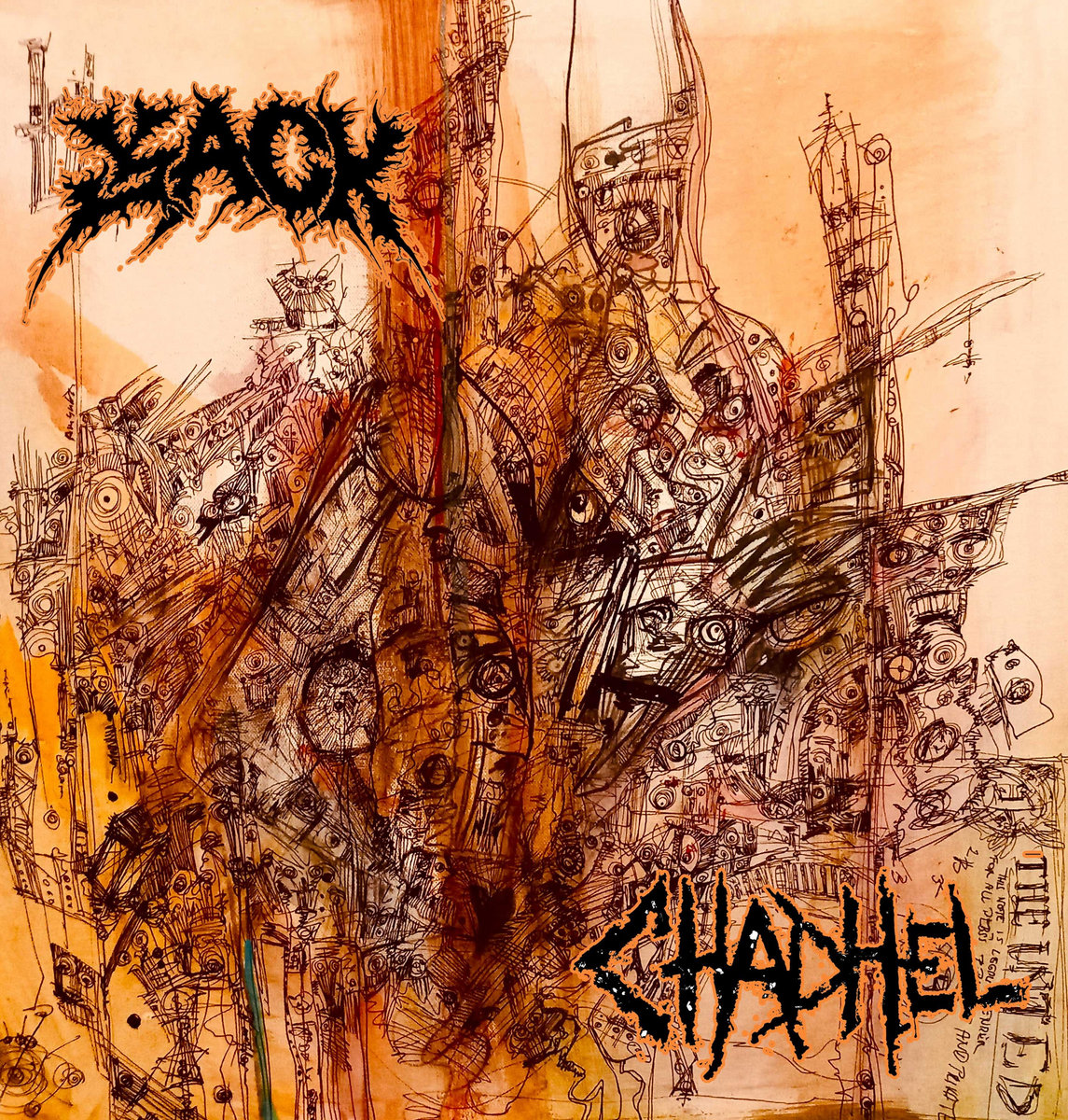 AxCx/INSULT - Split【CD】グラインドコア grindcore SxFxCx songs from (Ruido Muerte Kaos & Violencia 4 way split) LxMx