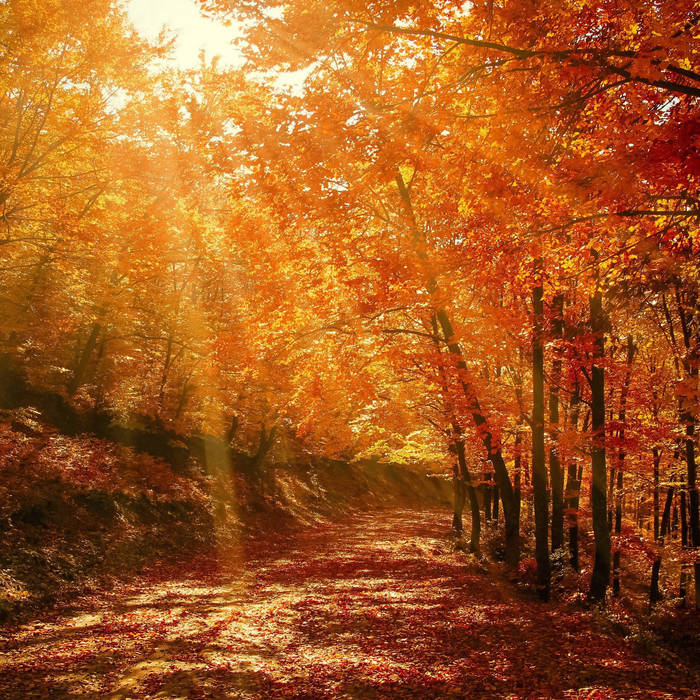 Autumn Equinox | Kristin Hoffmann
