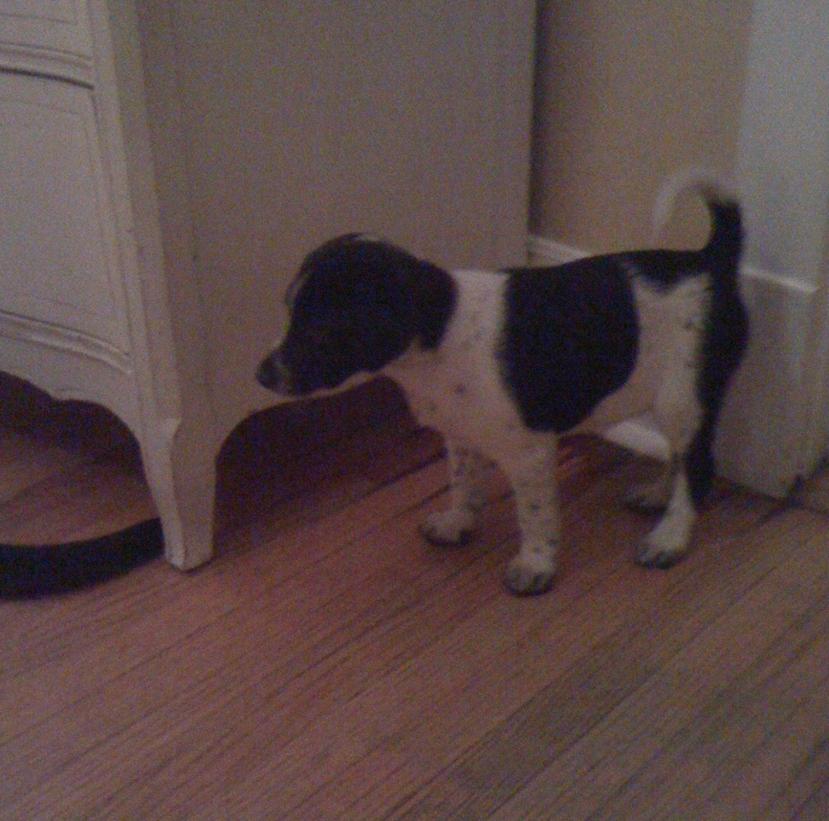 no place like home dreamless