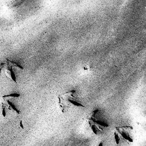 Silver Moon - Slow and Sparse cover art