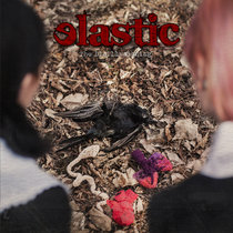 The Disillusioning cover art