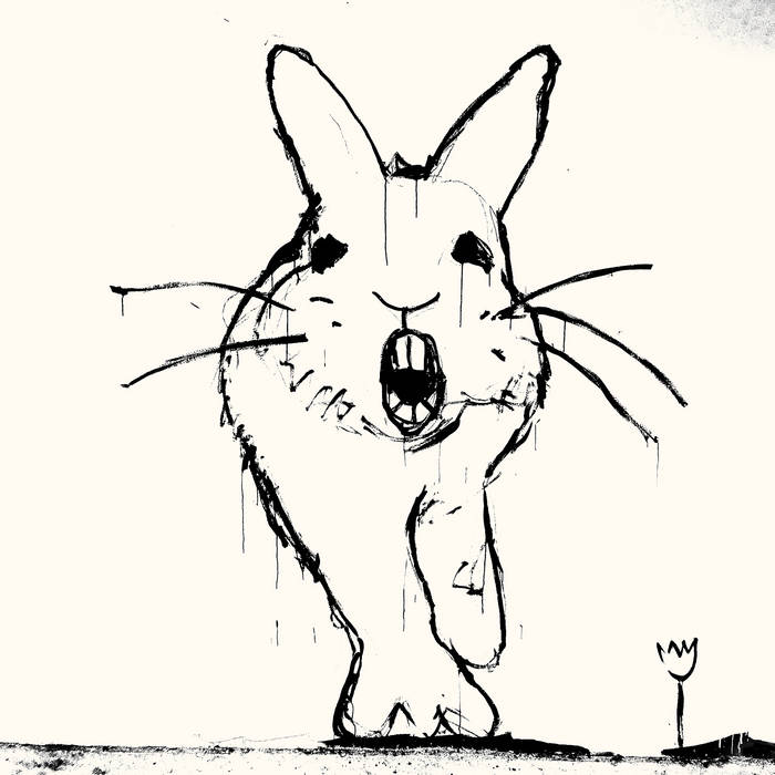 Crashing Through (Meyering Mix) [IPU147] | Beat Happening