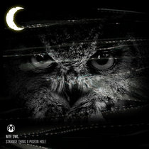 Nite Owl cover art