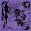 Fallen Angel EP