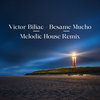 Victor Biliac - Besame Mucho  ( Melodic House Remix )