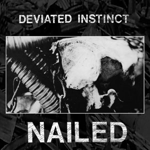 Nailed cover
