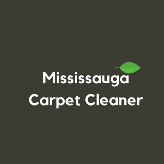 Mississauga Carpet Cleaner