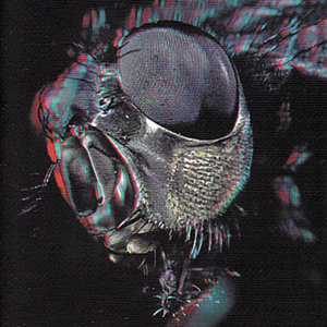 A God Among Insects (2022 Remaster) cover