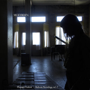 Pleasant Violent cover