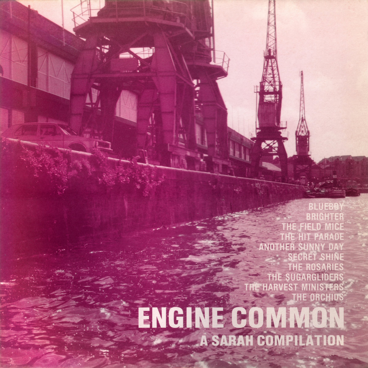 【お気にいる】 Engine Common | Various Artists | Sarah Records Compilations 洋楽