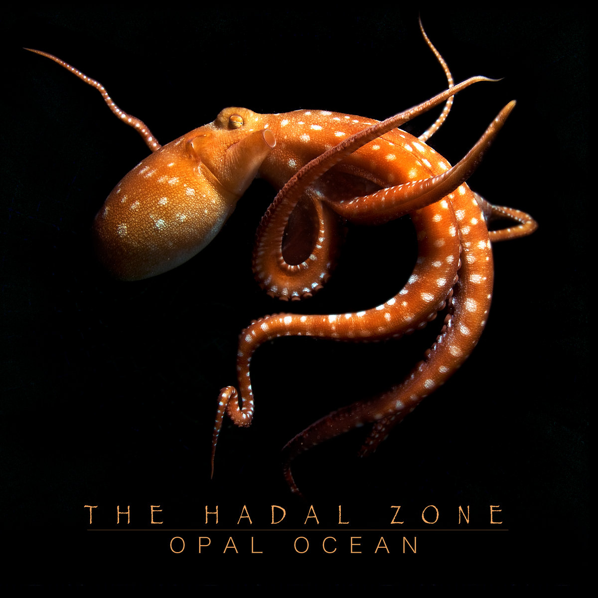 The Hadal Zone | Opal Ocean