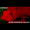 In the shadow of the sun Cover Art