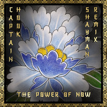 Captain Hook (Iboga Records) — he Power of Now (Shayman Remix)