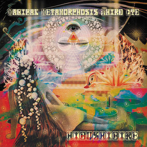 Magical Metamorphosis Third Eye秘部痺れHIBUSHIBIRE cover