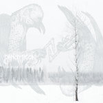 The Rime Of Memory