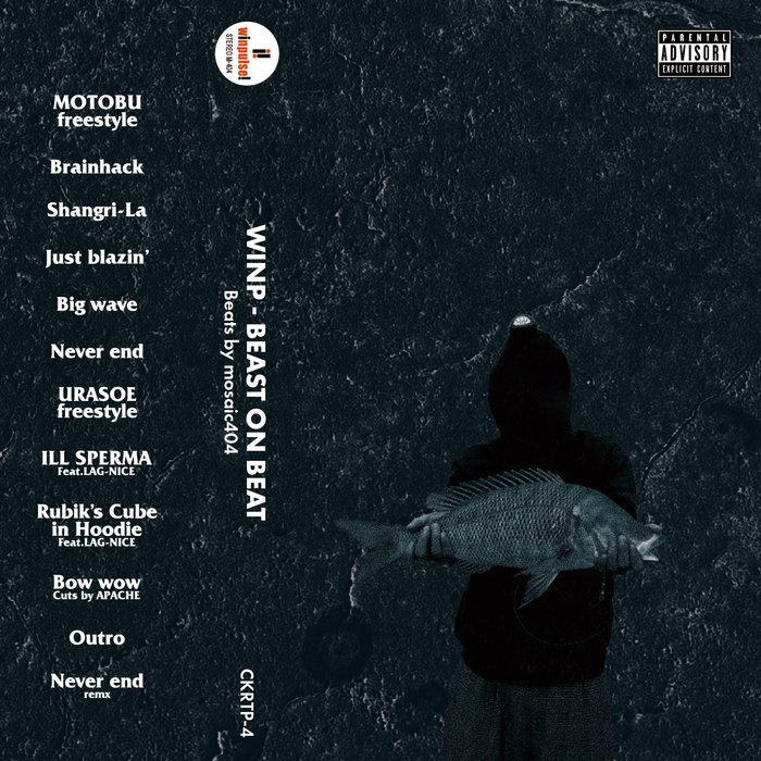 Peter Divito BEAST ON BEAT | mosaic404 & WINP | mosaic404