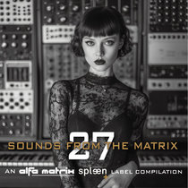 VARIOUS ARTISTS — Sounds From The Matrix 027
