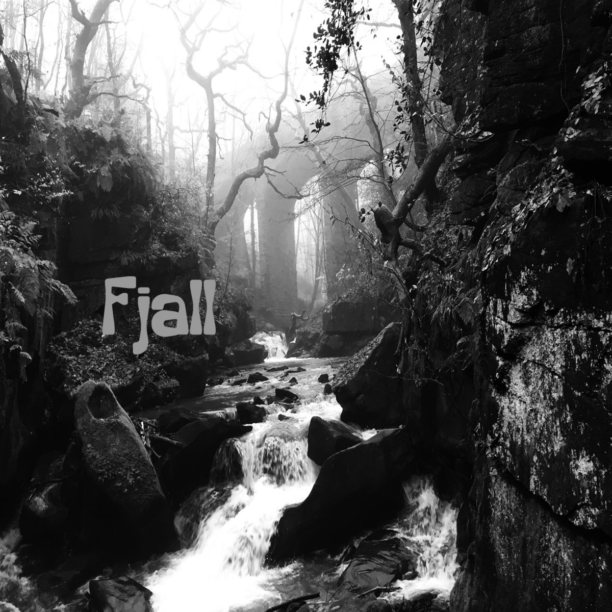 Fog Hills Compilation Album Vol​.​00 Fog Hills Compilation Album Vol​.​00