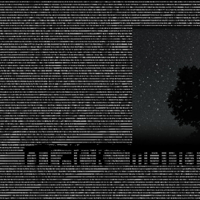 black ___