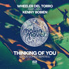 Thinking Of You (Doug Gomez Remix)