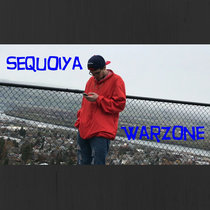 Warzone cover art