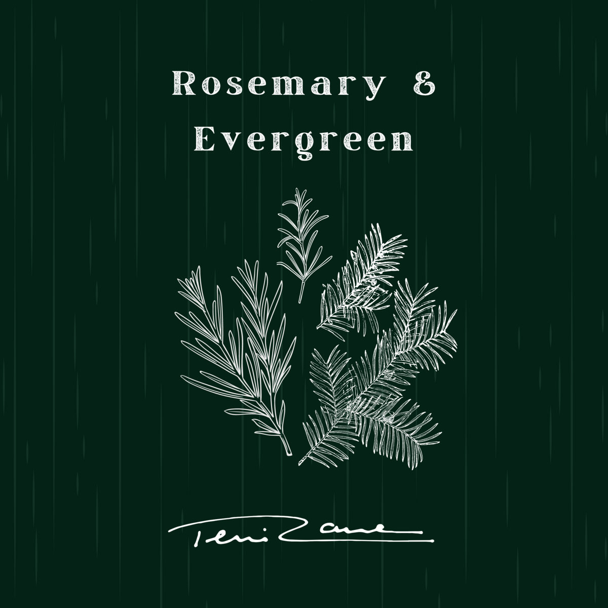 Rosemary & Evergreen