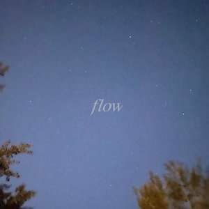 Flow cover
