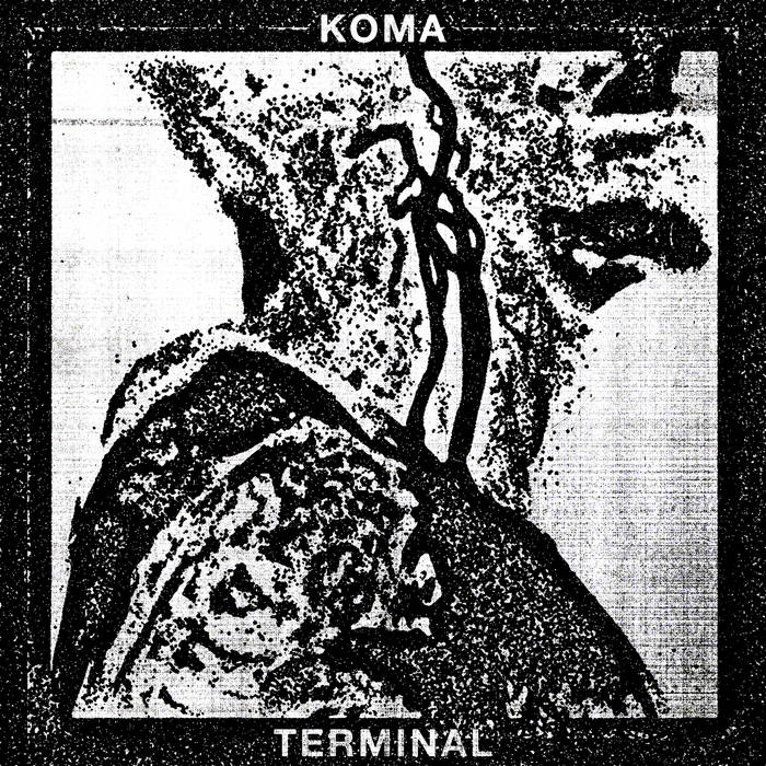 ROOTS | VARIOUS [C4] | LOUDsilence