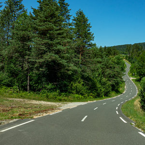 Summer Road Trip cover