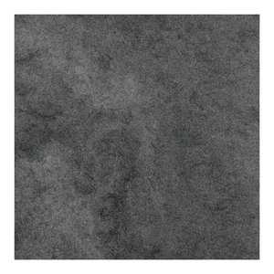 Whole Wide WorldThe Body & Cel Genesis cover