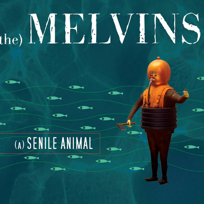 激レア4LP Melvins (A) Senile Animal A Senile Animal | Melvins