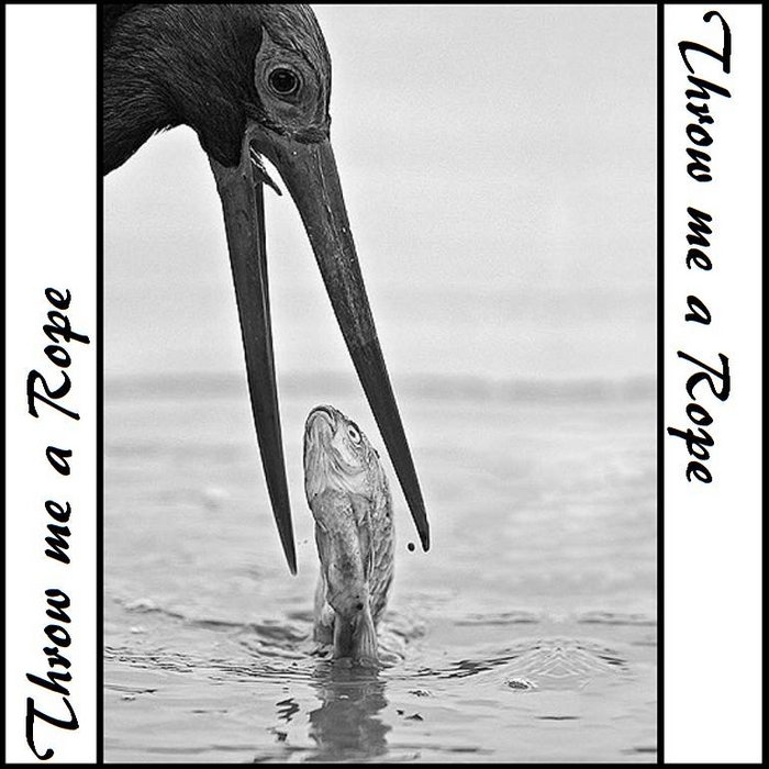 Throw me a Rope Throw Me A Rope