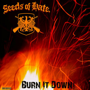 Burn It Down (Demo) 09 cover