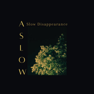 A Slow Disappearance cover
