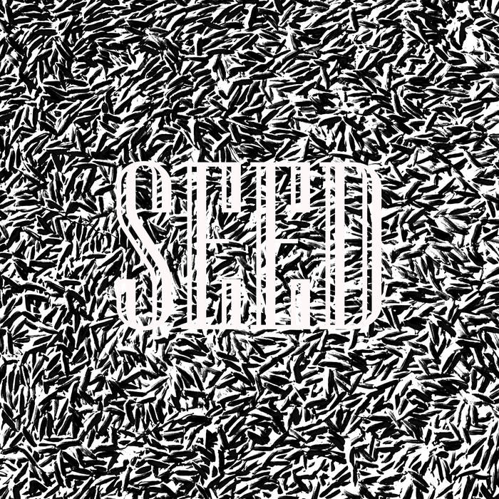 PRECIOUS / Shining Through The Night ミュージック PRECIOUS