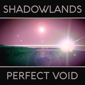 Perfect Void cover