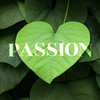 Passion Cover Art